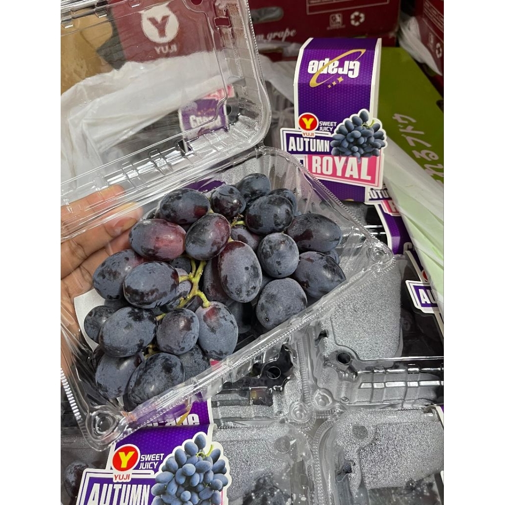 Buah Anggur hitam autumn manis tanpa biji | Andira Fresh