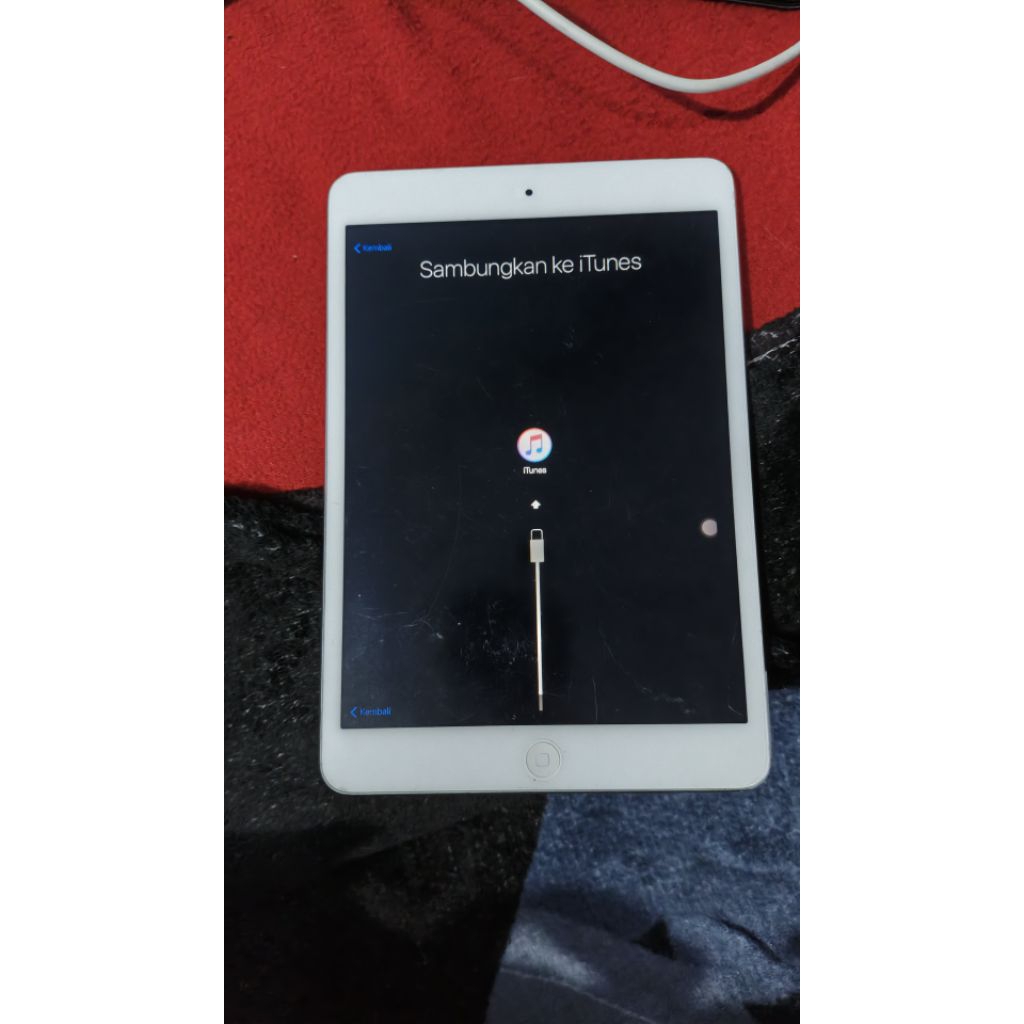 Apple iPad mini 1 stuck iTunes