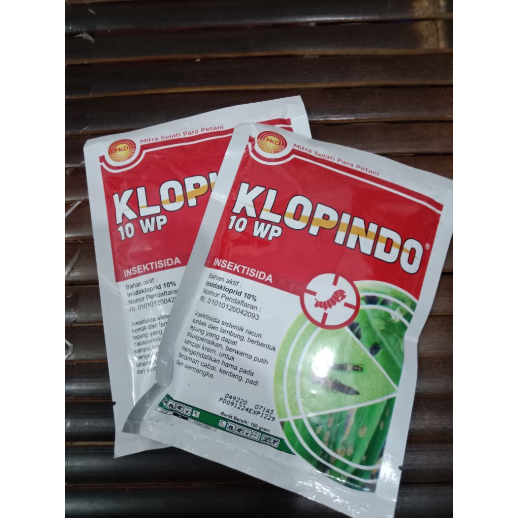 klopindo 10 wp