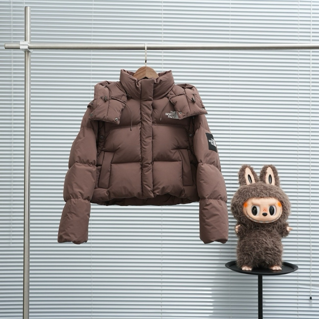 North face novelty nuptse down 2in1 vest