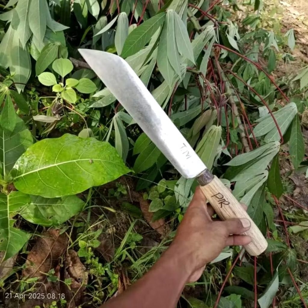 pisau penyembelih khas madura