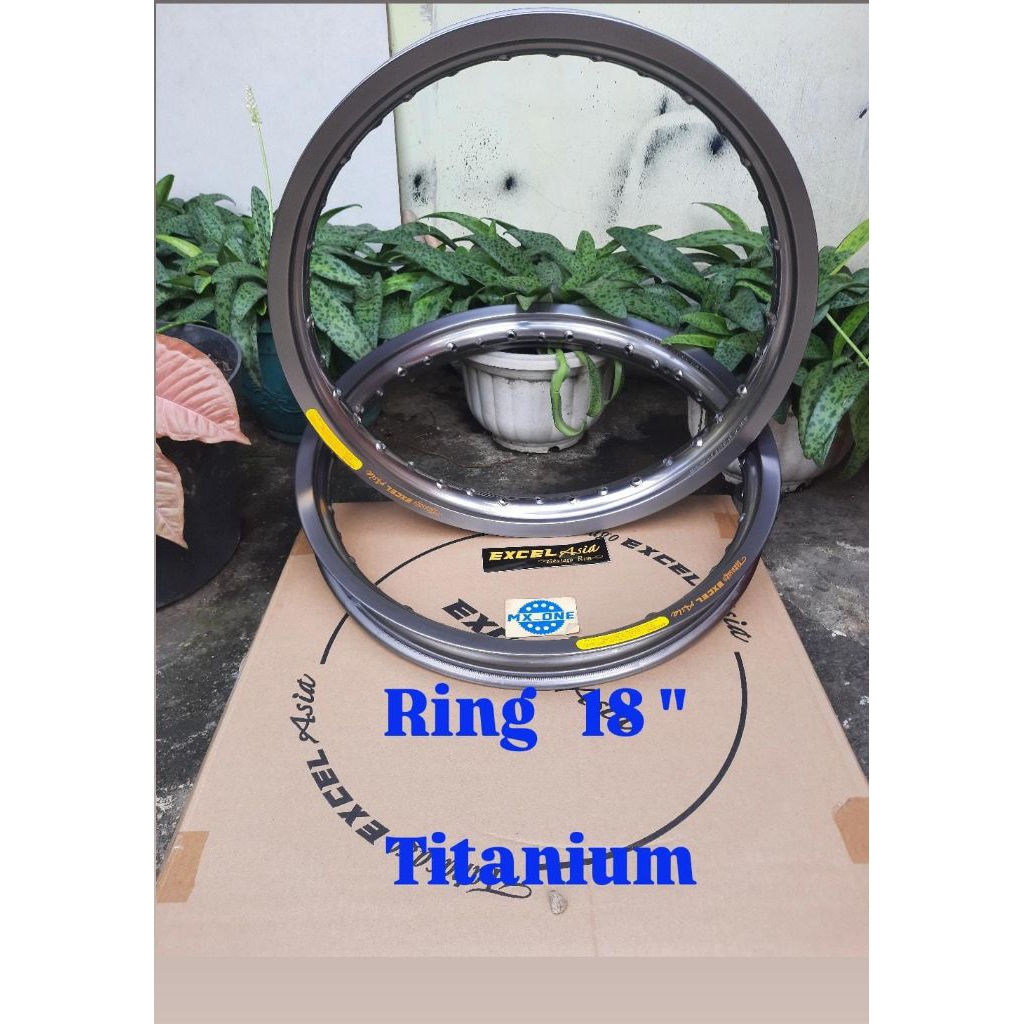 Velk exel asia takasago (TEA) ring 18" warna titanium