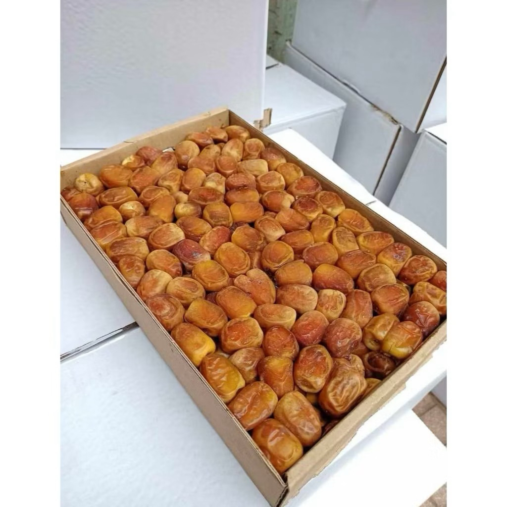 Kurma Sukari Al Qossim Grad A++ / Al Qassim 3 Kg / Sukari Premium Sukkari Pekanbaru
