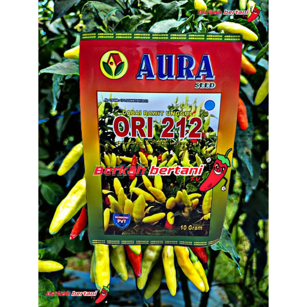 Benih Cabe Rawit ORI 212 10GR - Aura seed