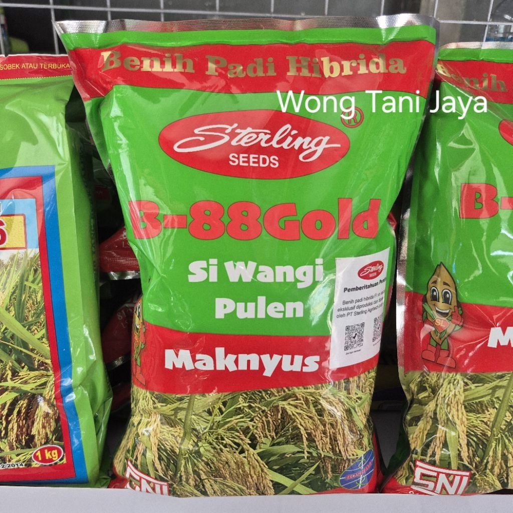 Benih Padi Hibrida Sterling B-88 Gold Original Kemasan 1kg