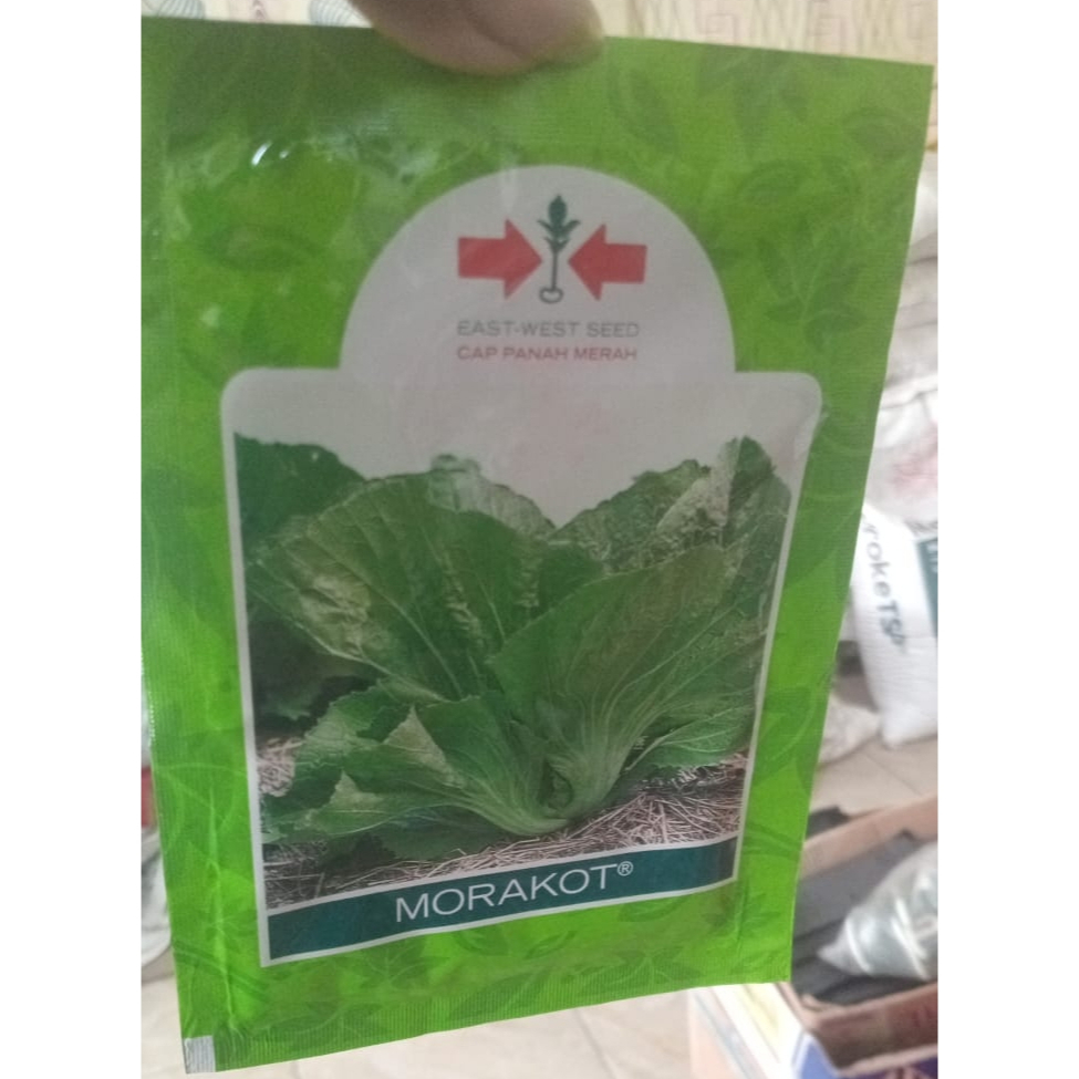 Benih Sawi Pahit Morakot Cap Panah Merah