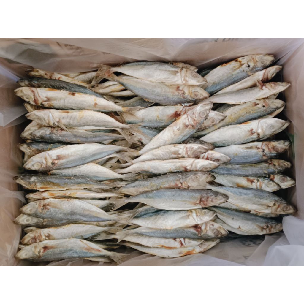 IKAN  PEDA LAYANG 500GRAM PREMIUM IKAN ASIN PEDA LAYANG KHAS TEGAL KOTA BAHARI