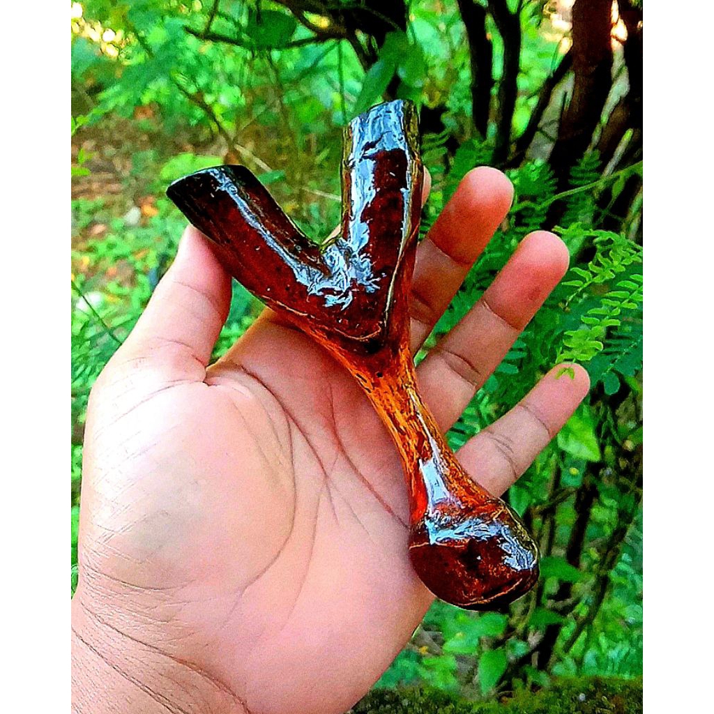 Ketapel Kayu asem Jawa Asli