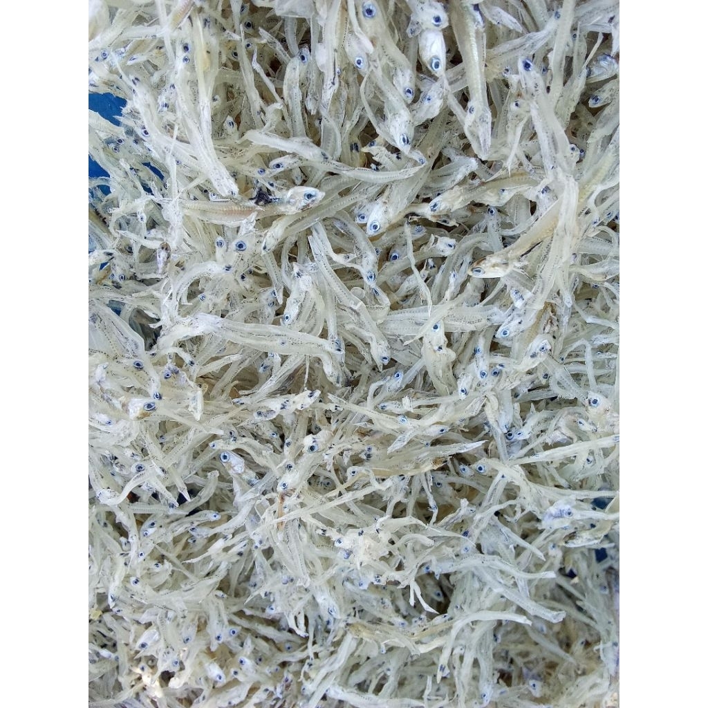 1KG Teri Nasi Tawar Kering Super Gurih Lezat Banyak Manfaat