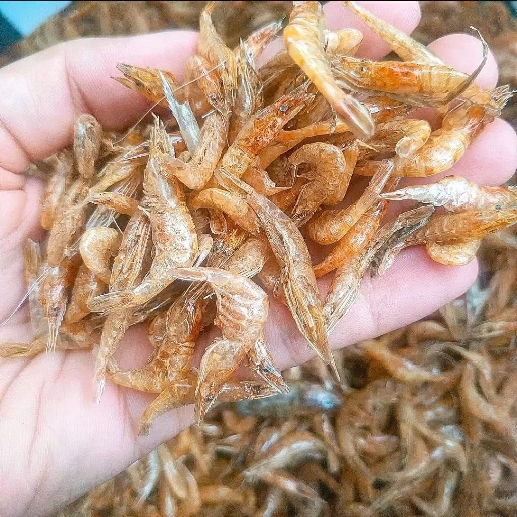 1KG Udang Kering Tawar / Pakan Ikan Channa