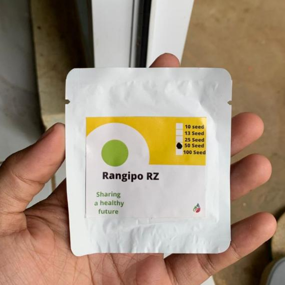 RZ Benih melon rangipo kemasan 50 biji repack