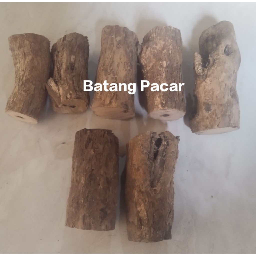 Bahan Gagang Pusaka Batang Kayu Pacar Mati / Tua