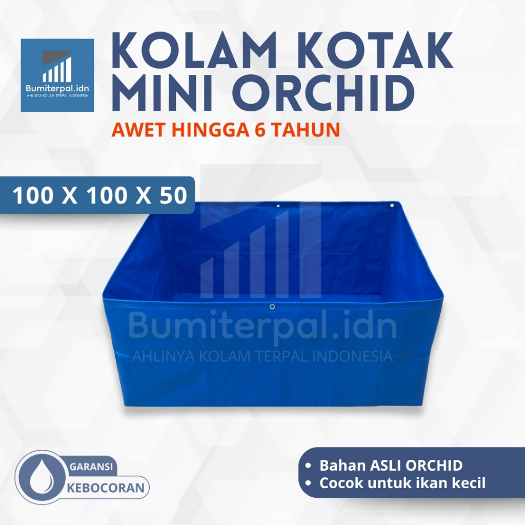 Kolam Terpal Mini Orchid Ukuran 100x100x50 Kolam Terpal Kecil Untuk Ikan Kecil