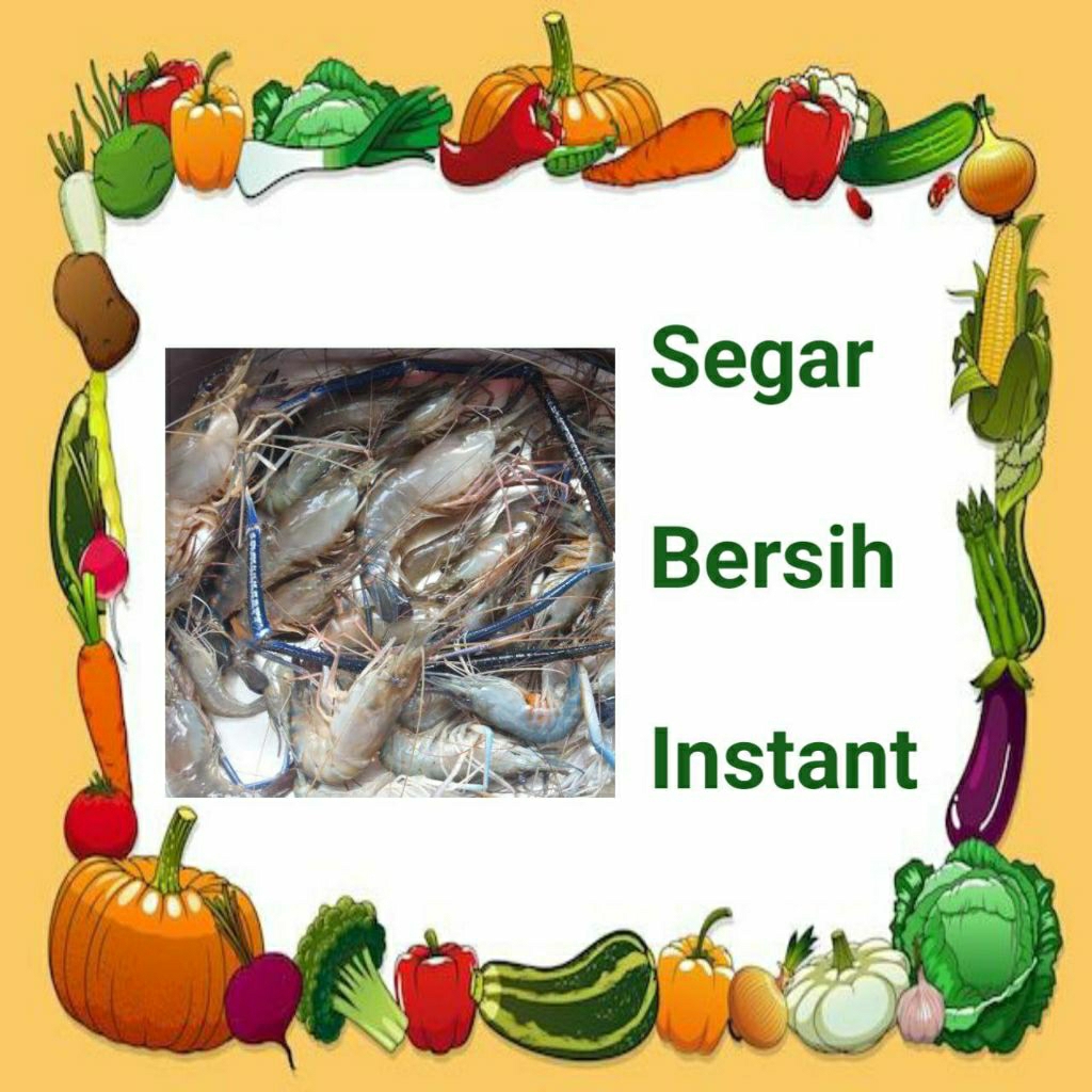 UDANG SATANG SEGAR INSTANT - PALEMBANG