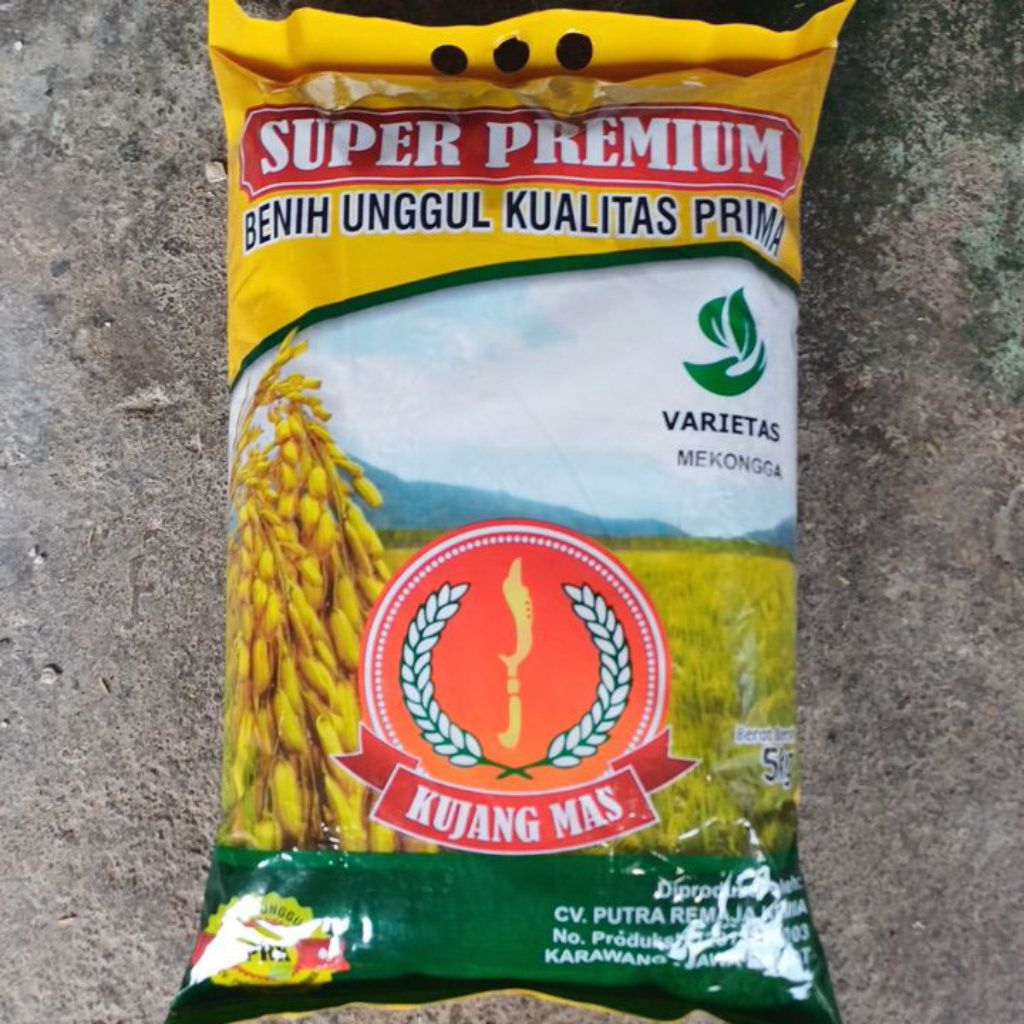 benih badi UNGGULAN KUALITAS SUPER PREMIUM KUJANG MAS VARIETAS ,CIHERANG,IR 64,INFARI 32,MIKONGGA,CI