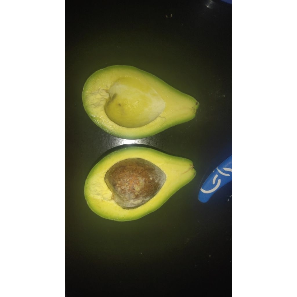 Alpukat mentega padang