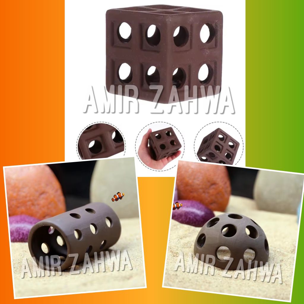 Shrimp Shelter Aquarium Aquascape