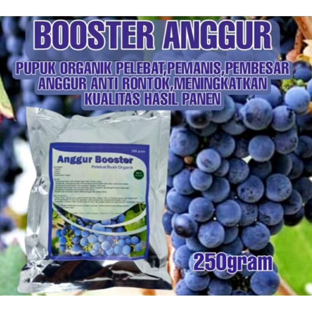 Pupuk Booster Anggur Organik pelebat buah, penyubur, perangsang buah anggur original