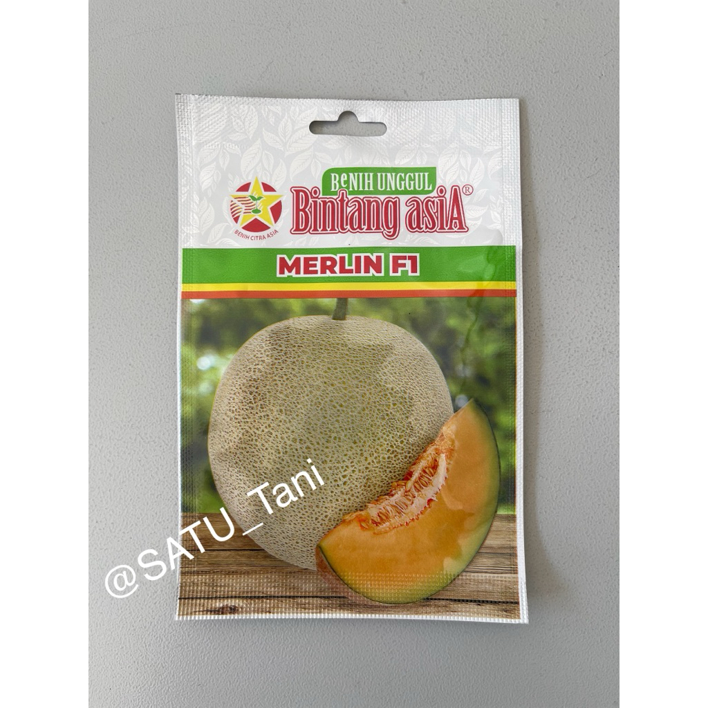 Benih Melon Merlin F1 Bintang Asia