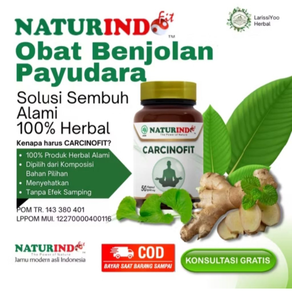Naturindo Carcinofit Obat Herbal Kangker Payudara Serviks Otak Prostat - KANGKER SERVIKS