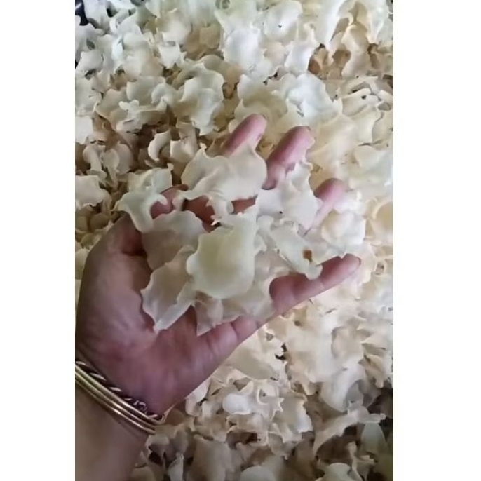 keripik kentang mentah kemasan 500 gram