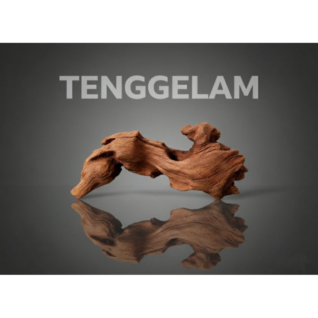 kayu rentek tenggelam mini