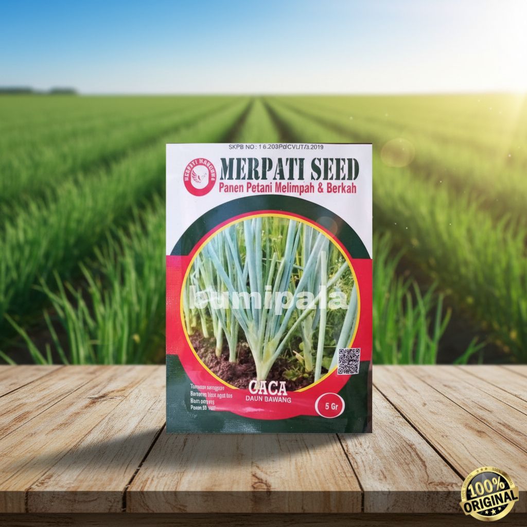 benih daun bawang Caca 5 gram tahan virus