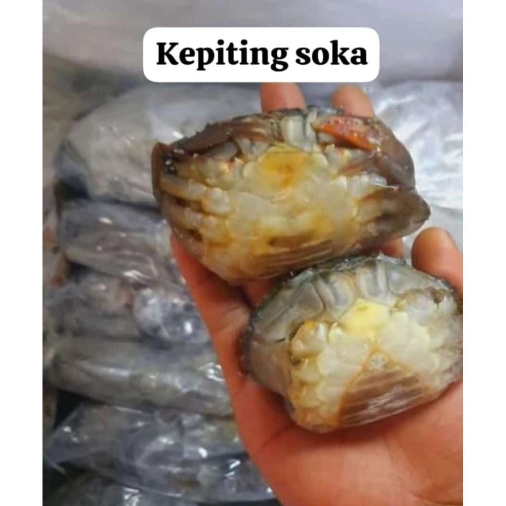 KEPITING SOKA