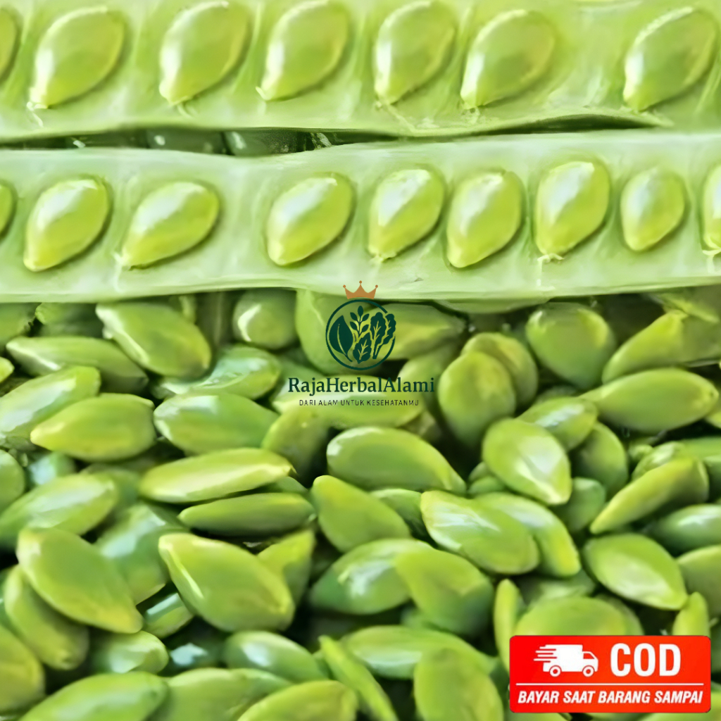 Petai cina / lamtoro / Pete Per ikat belum di kupas segar langsung petik dari pohon