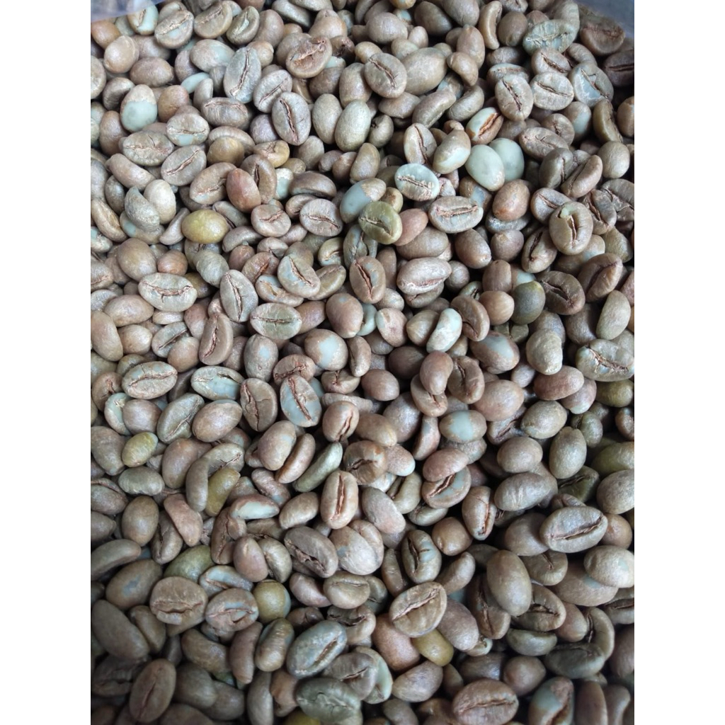 Green Bean Robusta