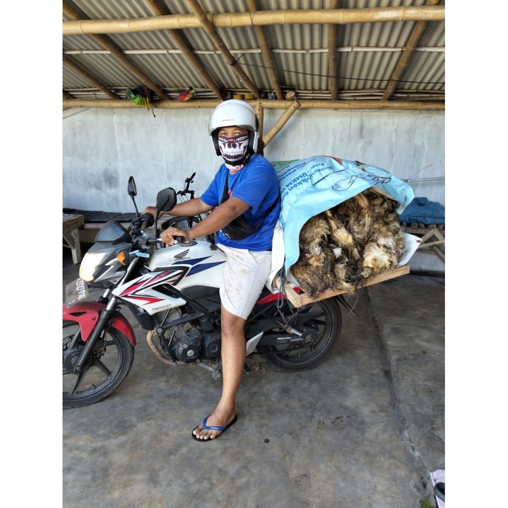 kulit kambing/domba kering