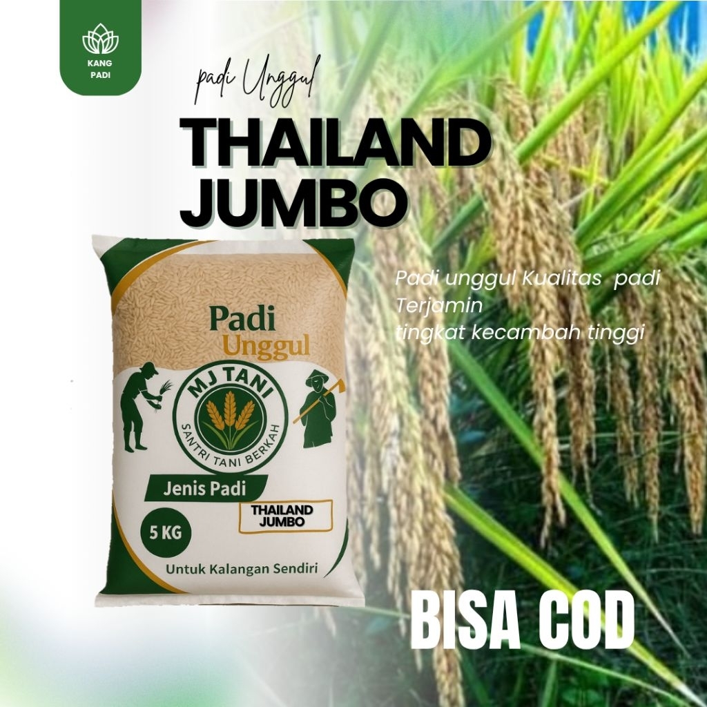bibit padi unggul Thailand jumbo 5kg