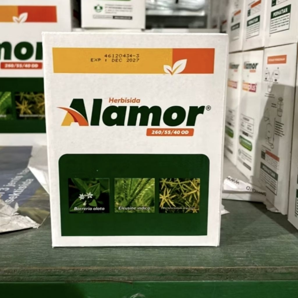 Herbisida ALAMOR - Herbisida selektif jagung