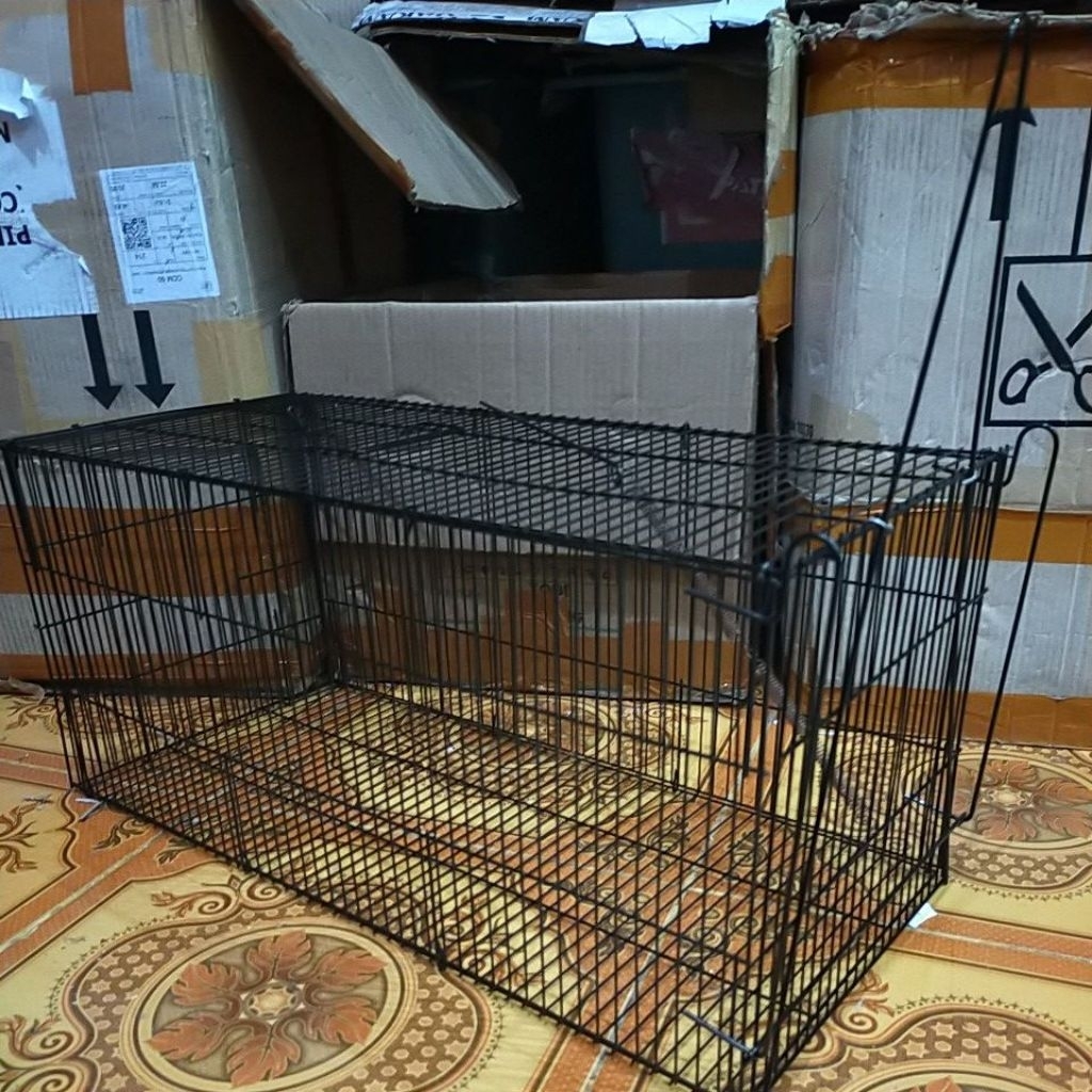 perangkap/jebakan musang, biawak, luwak