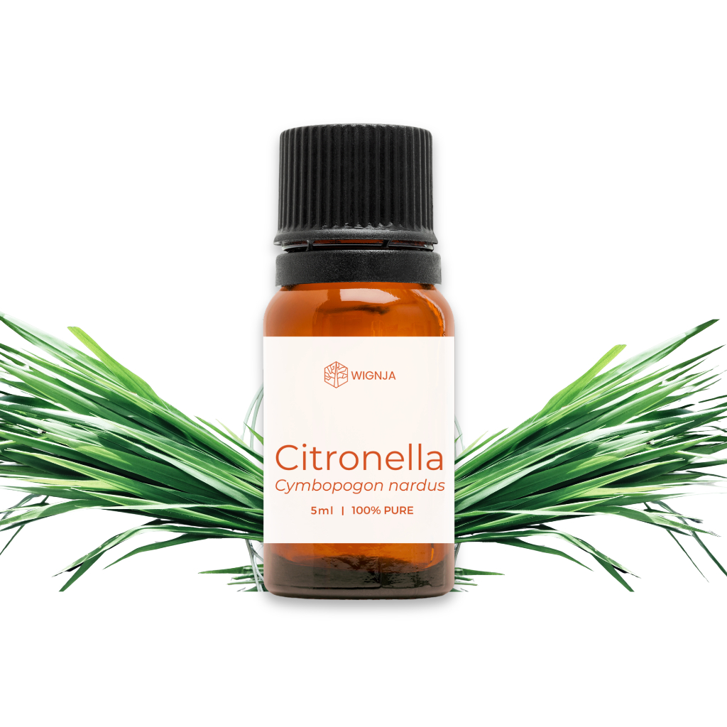 Citronella Essential Oil / Minyak Sereh Wangi Murni (5ml / 10ml) - 100% Essential Oil