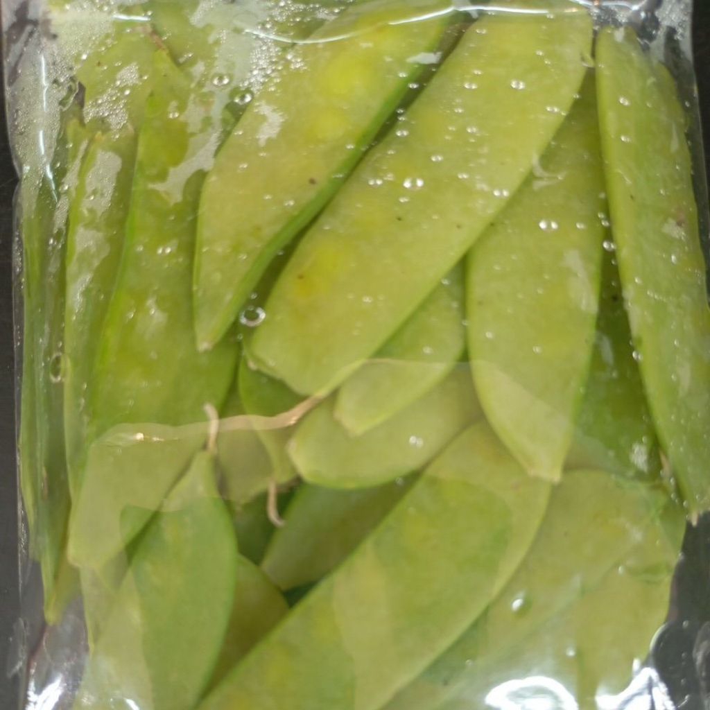 ERCIS SEGAR FRESH 100GRAM