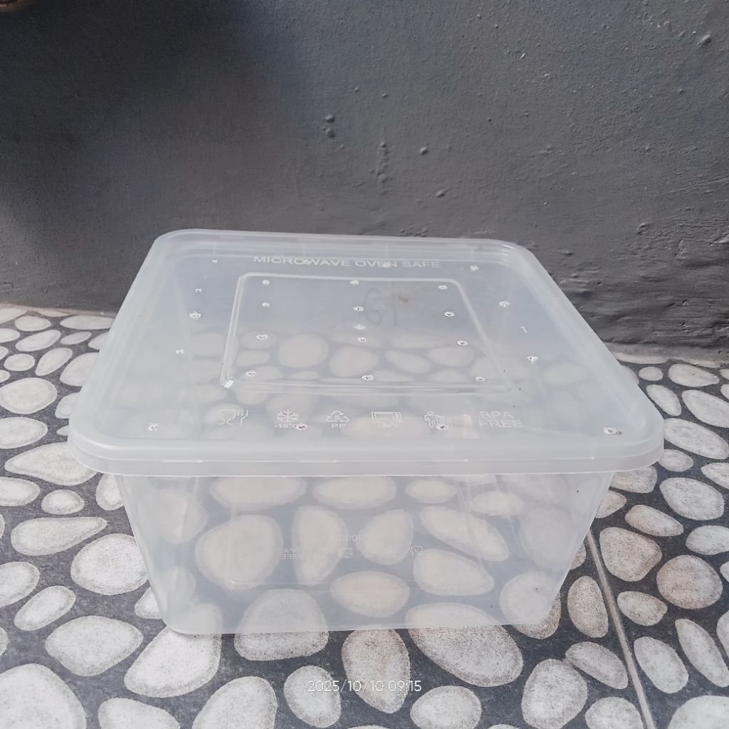 Wadah Plastik Ulet Mengkudu