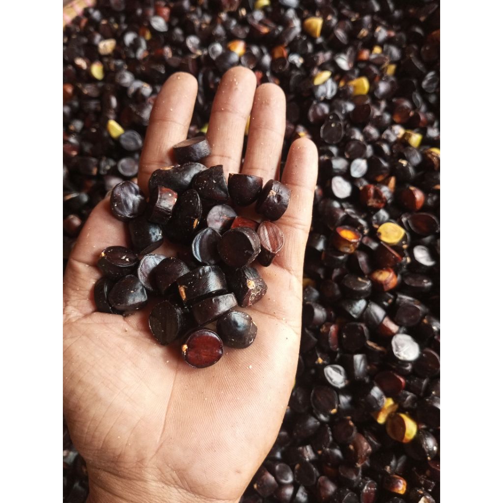 Kuwaw/kabau Jolang jaling