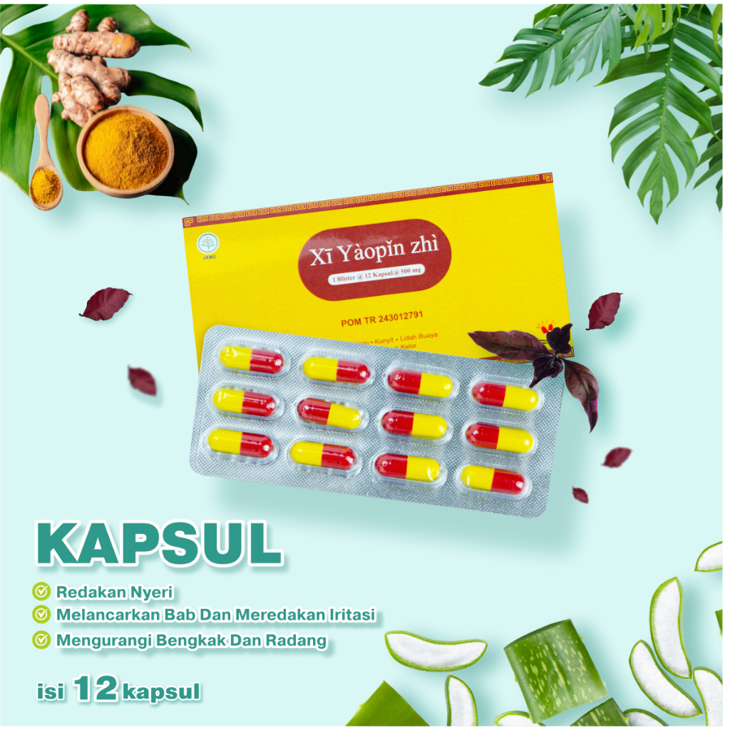 Xi Yaopin Zhi Botol Kapsul 12pcs – Obat Ambeien