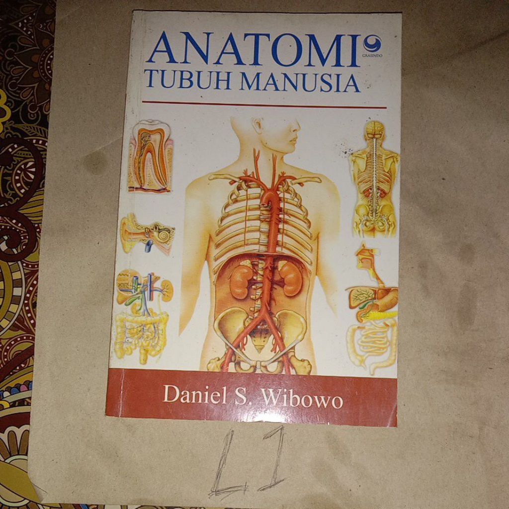 BUKU ANATOMI TUBUH MANUSIA