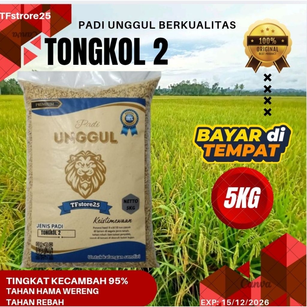 BIBIT PADI TONGKOL 2 KEMASAN 5 KG 100%ASLI