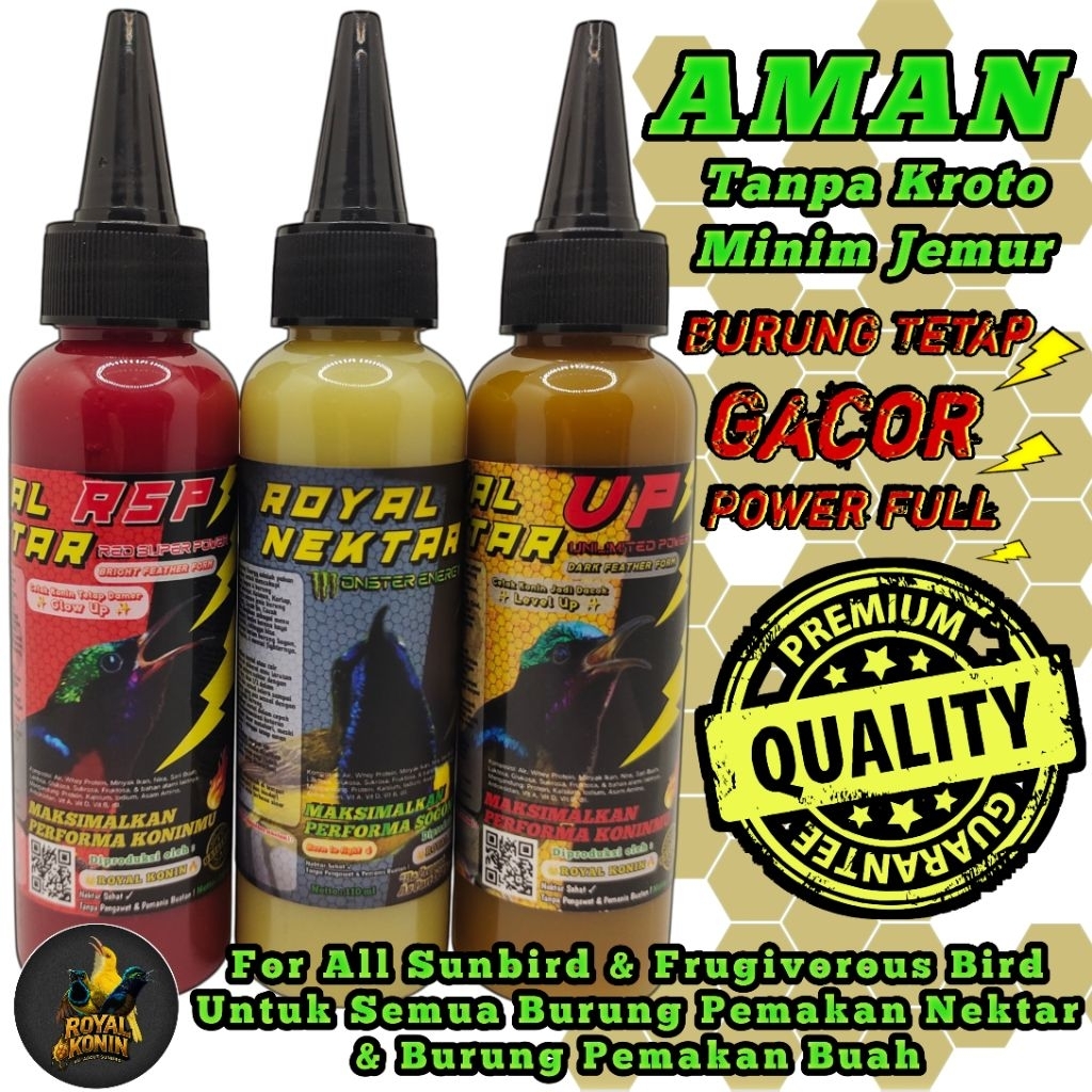Pakan Nektar Harian & Lomba Konin, Sogon, Kolibri Kelapa, Kolibri Ninja Cepat Gacor Aman Tanpa Kroto