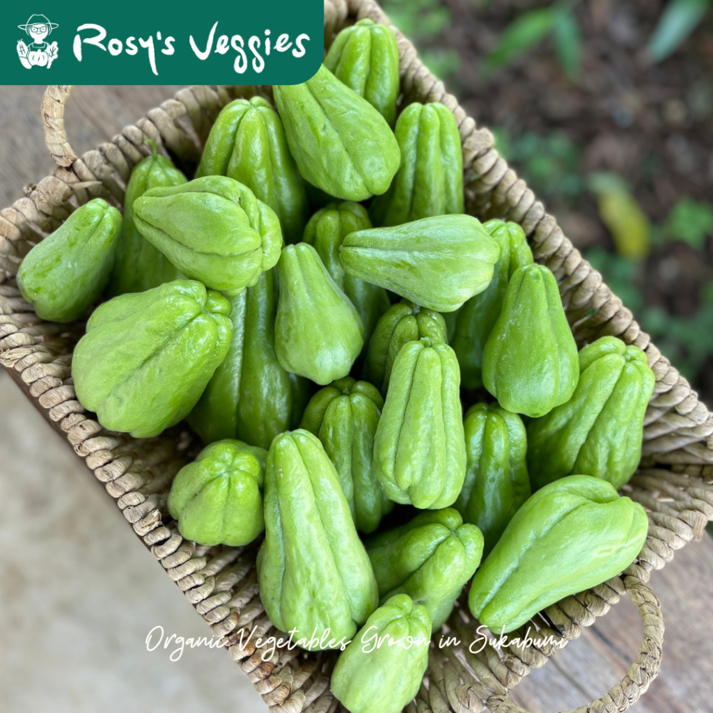 Labu Siam Baby Organik | 500 gr