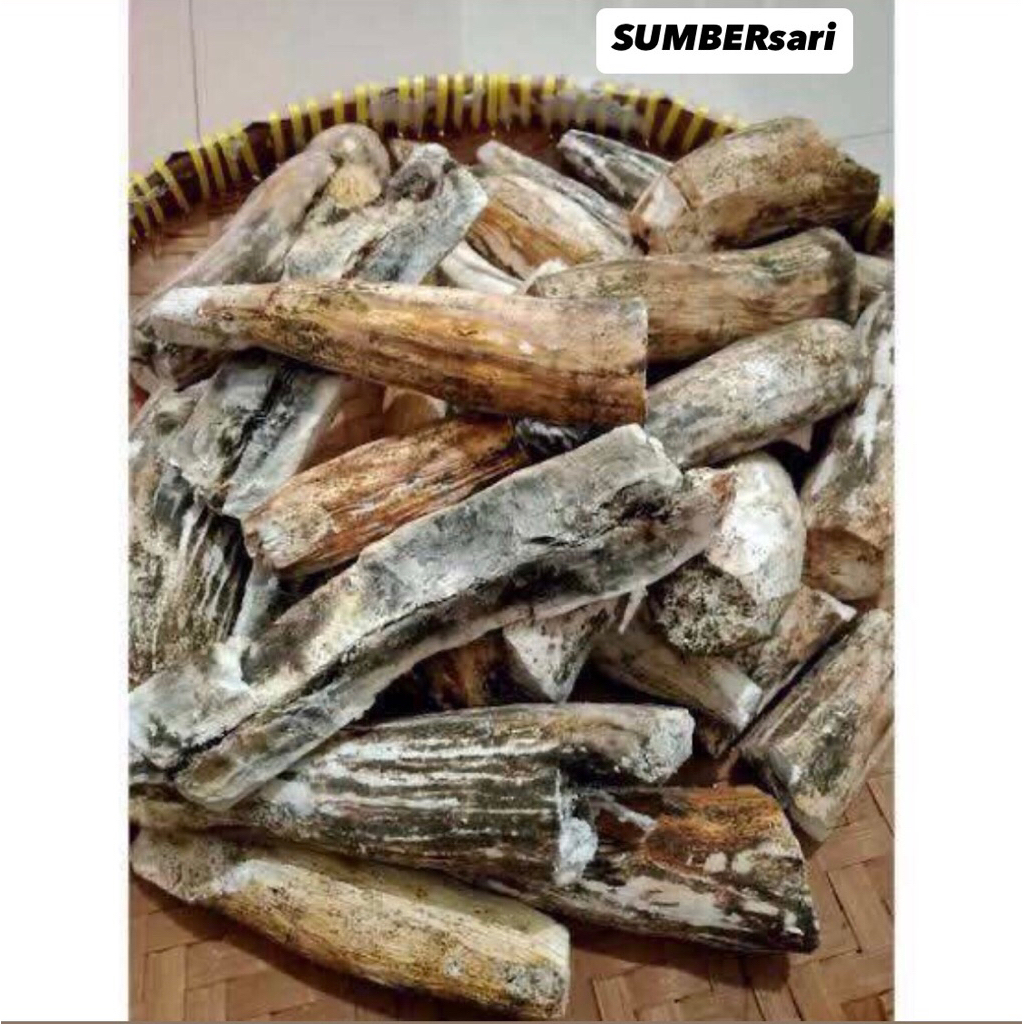 Singkong Gatot/Gaplek Mentah Asli