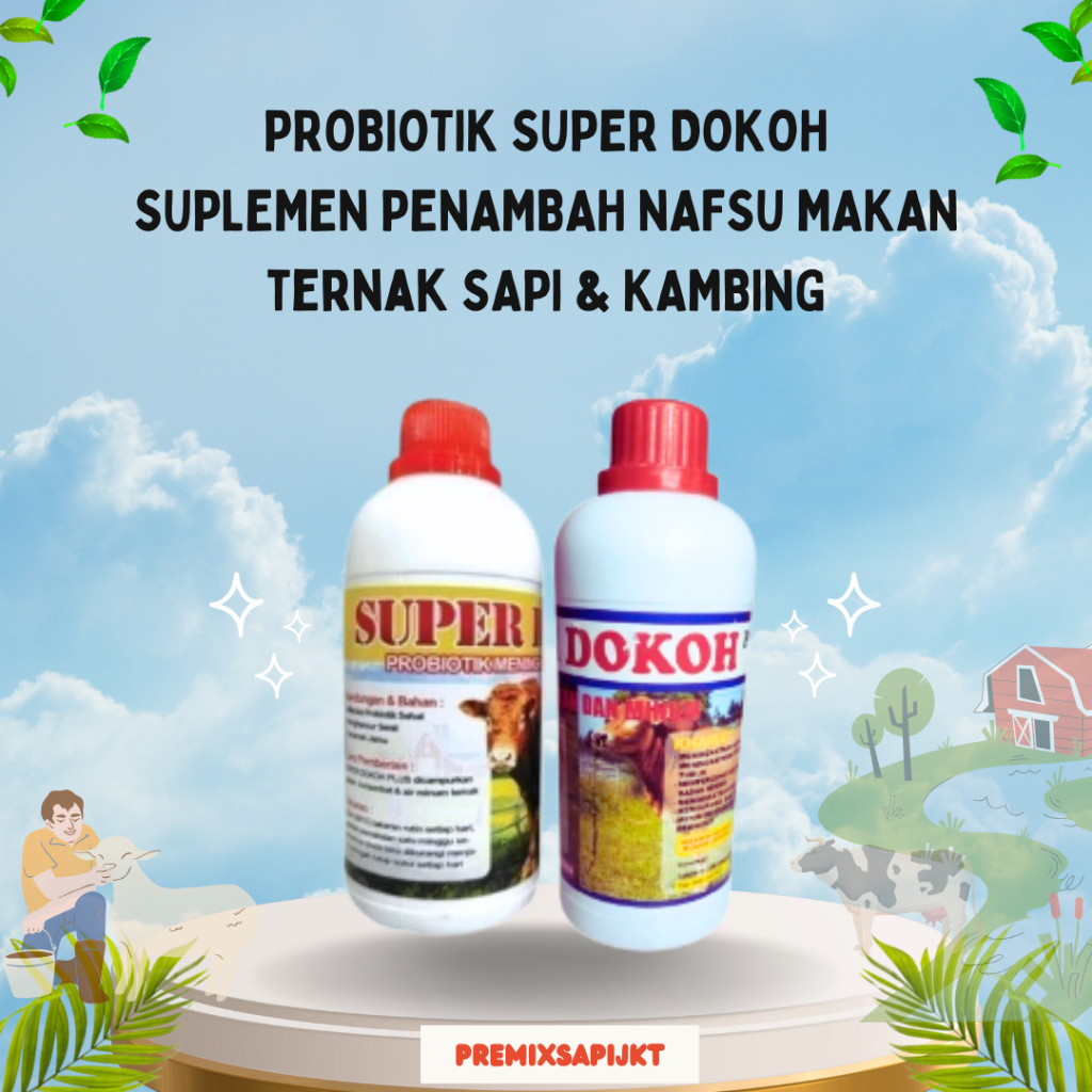 Super Dokoh Probiotik Membantu Penggemukan Ternak Kambing Sapi