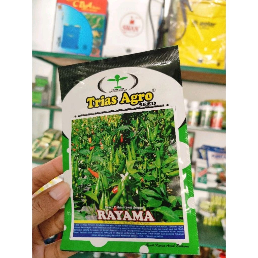 Benih Cabai Rawit Rayama F1 10 Gram ±2250 Butir – Tahan Virus, Buah Lebat, Genjah, Daya Simpan Tingg