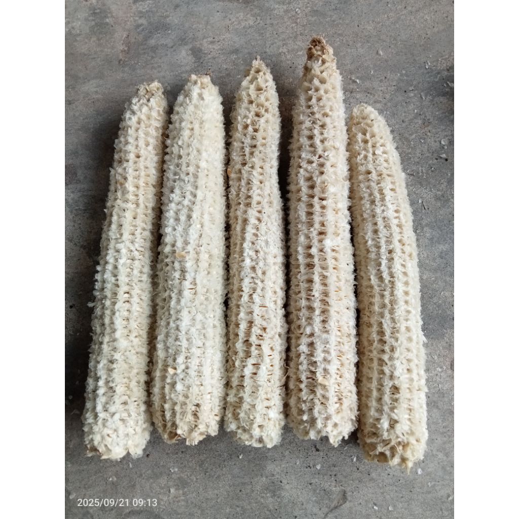 janggel/bonggol/ kering termurah