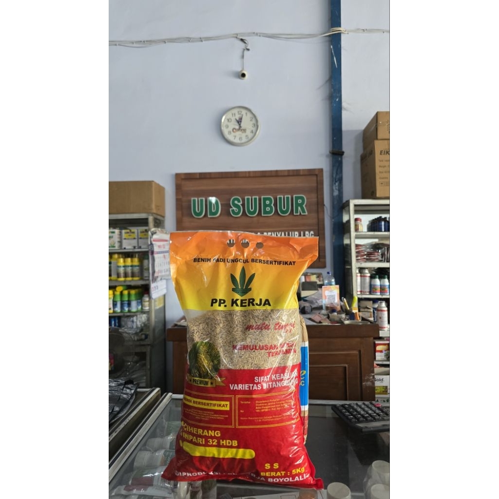 BENIH PADI INPARI 32 HDB Boyolali Premium (Berat bersih: 5kg)