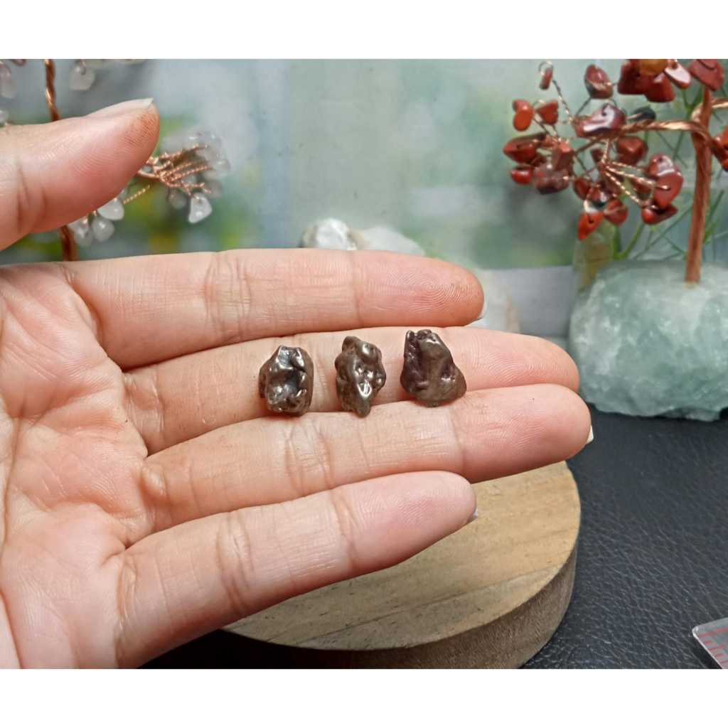 Batu meteorite crystal campo del cielo (4)