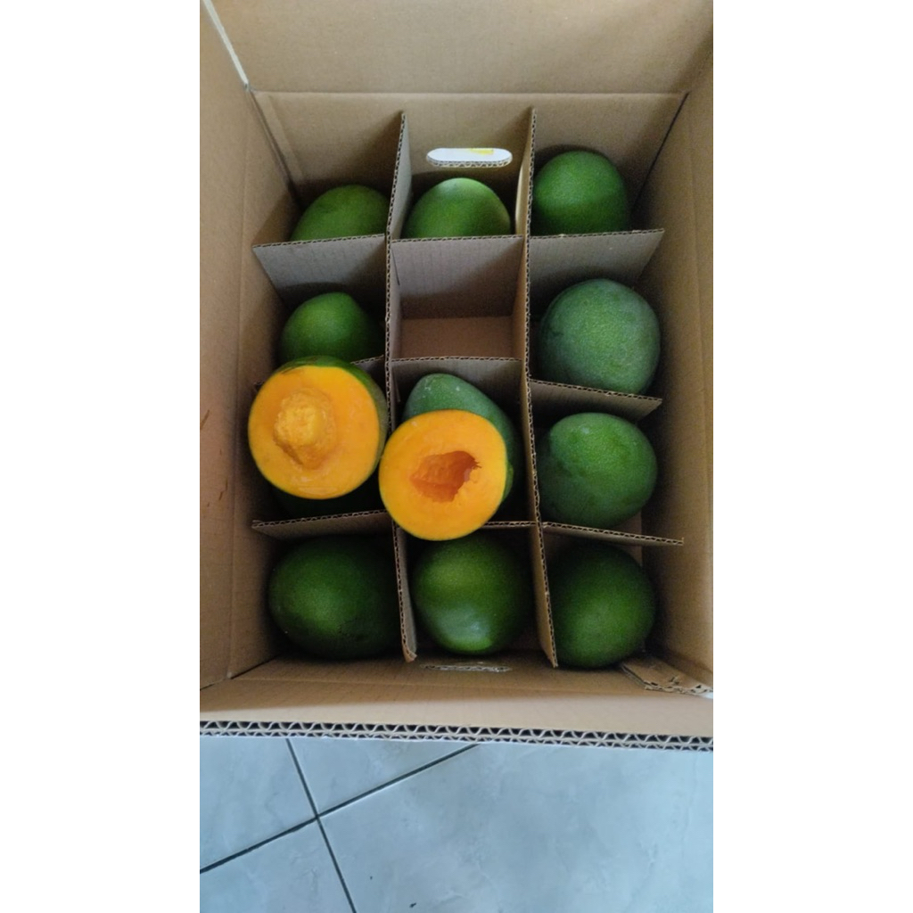 mangga Alpukat Bangil